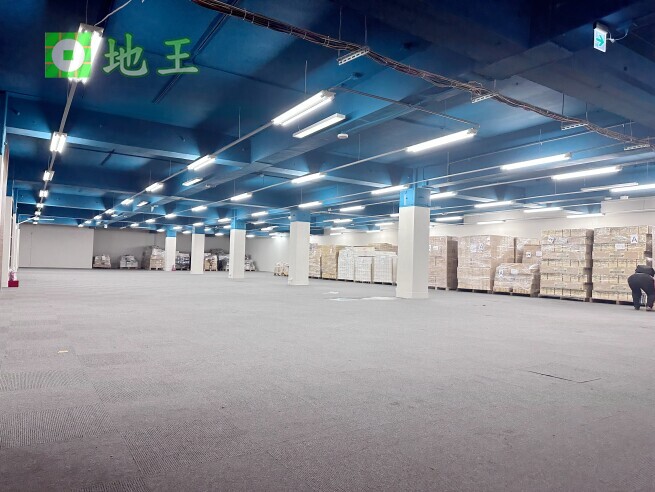 新北市 新莊區 近化成路 物件編號 18490