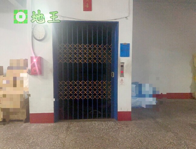 新北市 樹林區 近俊興街 物件編號 19525