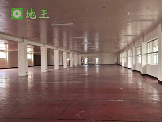 新北市 樹林區 味王街 物件編號 19631