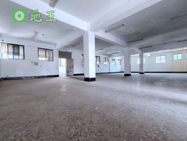 桃園市 大園區 大園工業區 物件編號 19108