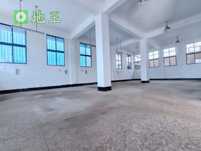 桃園市 大園區 大園工業區 物件編號 19108