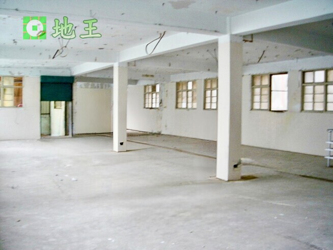 新北市 土城區 捷運永寧站800坪廠房出租｜可分租｜貨梯｜可工廠登記 物件編號 19694