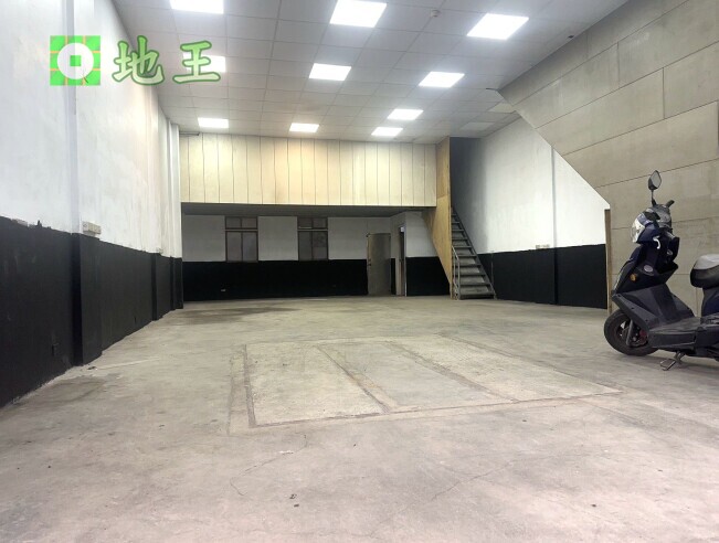 新北市 新莊區 新樹路 物件編號 19856