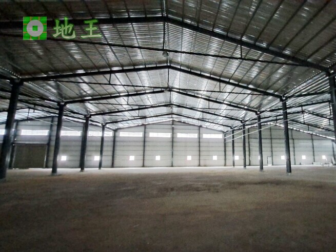 新北市 林口區 太平嶺大型廠房出租｜1656坪挑高9.5米｜物流倉儲首選｜大車可達 物件編號 19881
