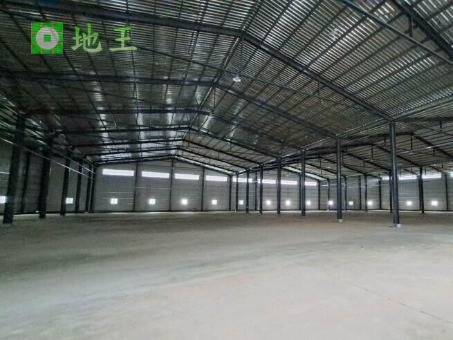 新北市 林口區 太平嶺大型廠房出租｜1656坪挑高9.5米｜物流倉儲首選｜大車可達 物件編號 19881