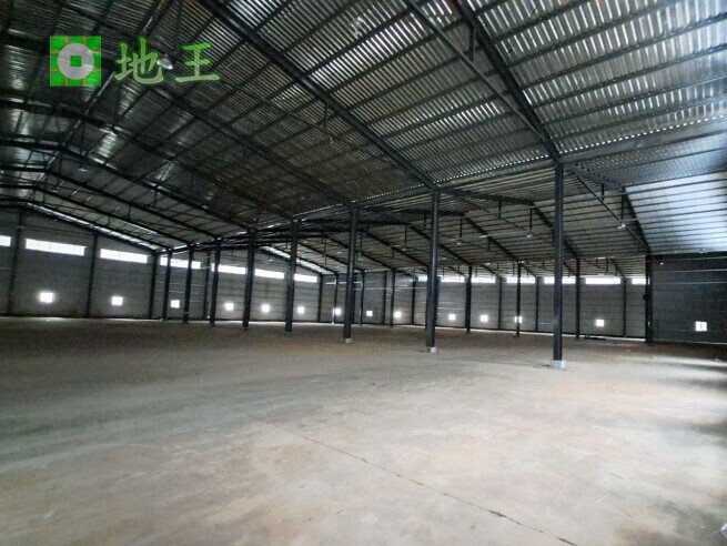 新北市 林口區 太平嶺大型廠房出租｜1656坪挑高9.5米｜物流倉儲首選｜大車可達 物件編號 19881
