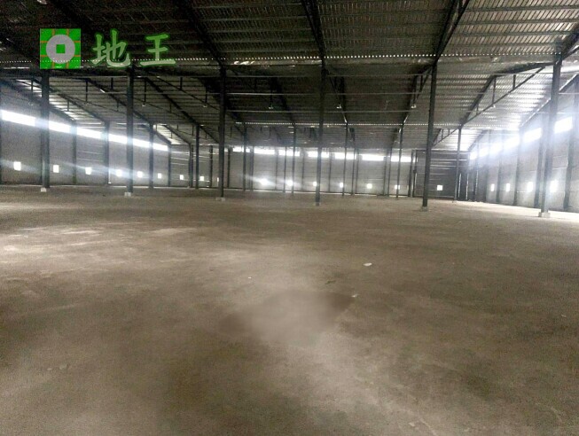 新北市 林口區 太平嶺大型廠房出租｜1656坪挑高9.5米｜物流倉儲首選｜大車可達 物件編號 19881