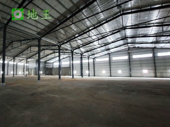 新北市 林口區 太平嶺大型廠房出租｜1656坪挑高9.5米｜物流倉儲首選｜大車可達 物件編號 19881