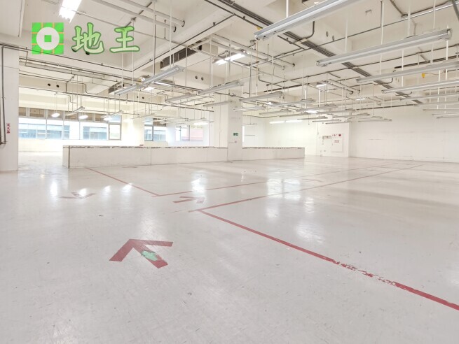 新北市 新莊區 輔大、丹鳳雙捷運 物件編號 19906