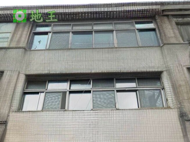新北市 新莊區 新樹路 物件編號 20009