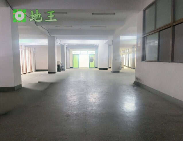 新北市 新北產業園區 五X路廠房出租｜1297坪整棟廠房｜大腹地好停車｜物流倉儲首選 物件編號 20092