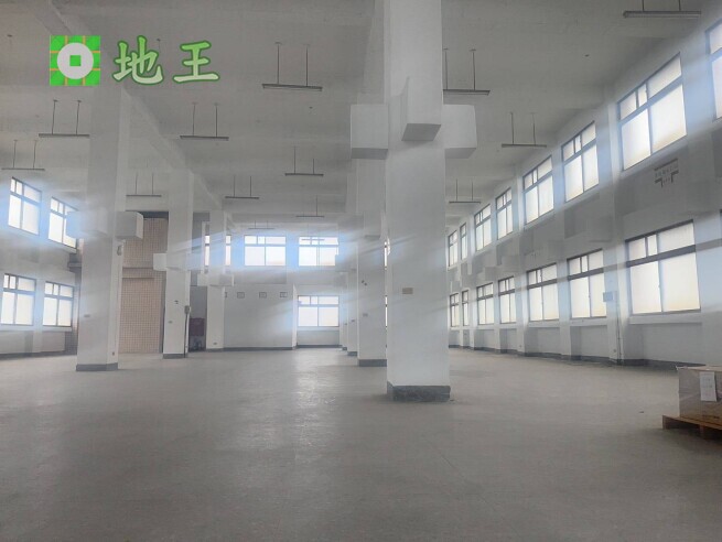 新北市 新北產業園區 五X路廠房出租｜1297坪整棟廠房｜大腹地好停車｜物流倉儲首選 物件編號 20092