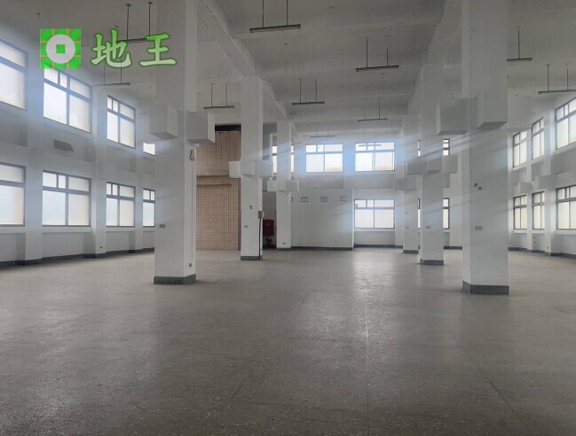 新北市 新北產業園區 五X路廠房出租｜1297坪整棟廠房｜大腹地好停車｜物流倉儲首選 物件編號 20092