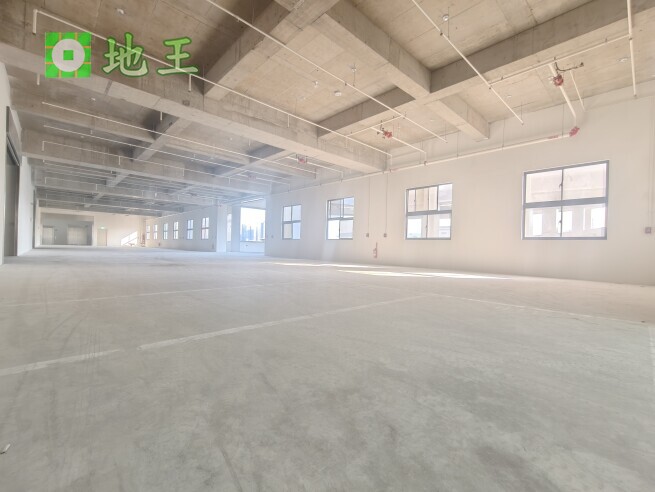 新北市 新莊區 環漢路 物件編號 19417