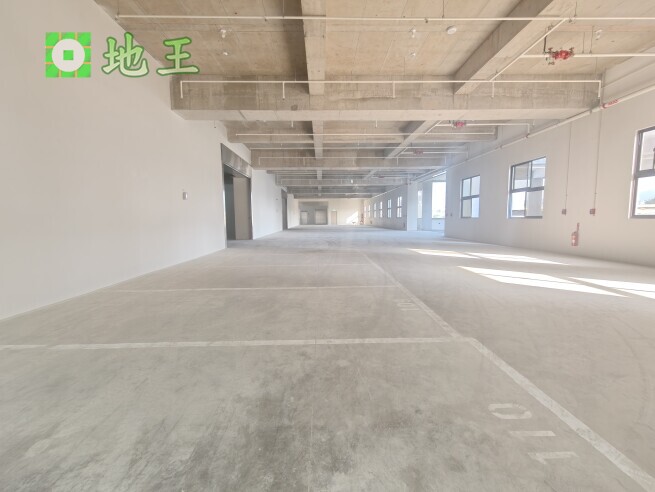 新北市 新莊區 環漢路 物件編號 19417