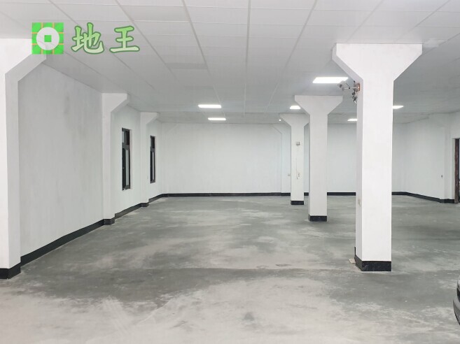 新北市 新莊區 近捷運-輔大站 物件編號 20308