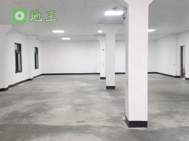 新北市 新莊區 近捷運-輔大站 物件編號 20308