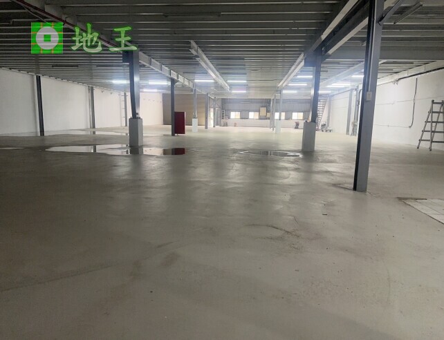 新北市 樹林區 近俊英街廠房出租｜440坪大坪數空間｜挑高好規劃 物件編號 20427