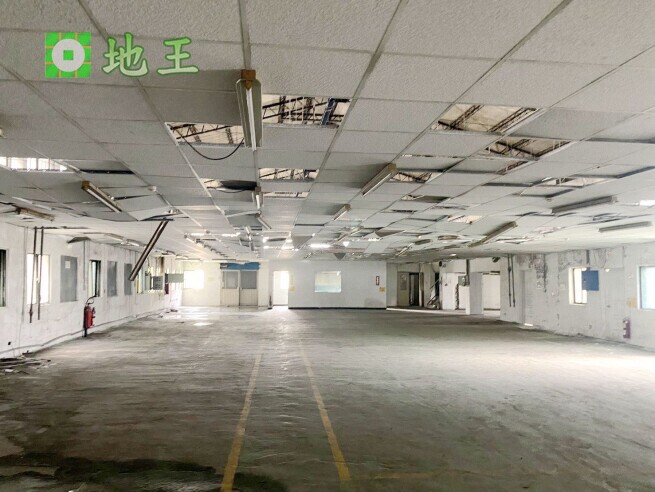 新北市 土城區 近中央路三段透天廠房出租｜1000坪大坪數工業空間 物件編號 20502