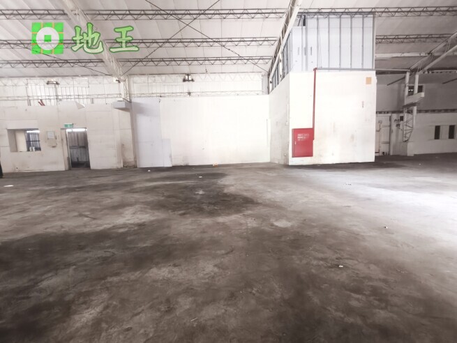 新北市 新莊區 化成路巷內鐵皮屋倉庫出租｜160坪乙種工業區倉庫 物件編號 20528