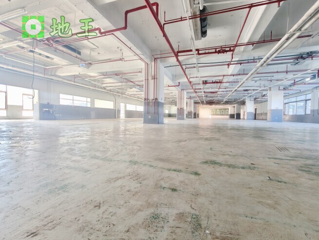 新北市 板橋區 縣民大道附近廠辦出租｜292坪合法廠辦｜近板橋車站｜雙貨梯 物件編號 20584