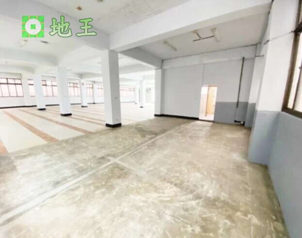 新北市 新北產業園區 五X路廠辦出租｜462坪廠辦｜近捷運｜卸貨碼頭完善 物件編號 20565