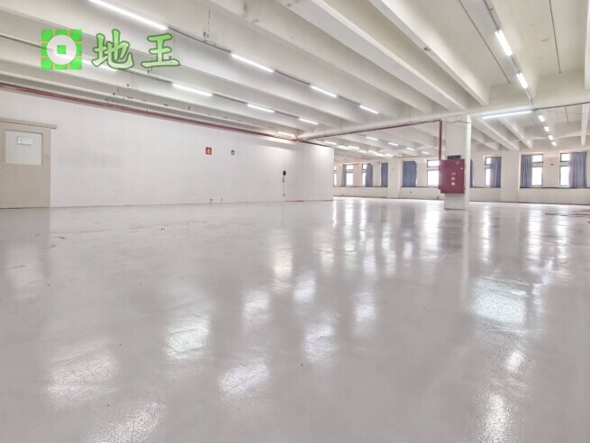 新北市 新北產業園區 五X路廠辦出租｜230坪廠辦大樓｜可工登公司登記 物件編號 20470