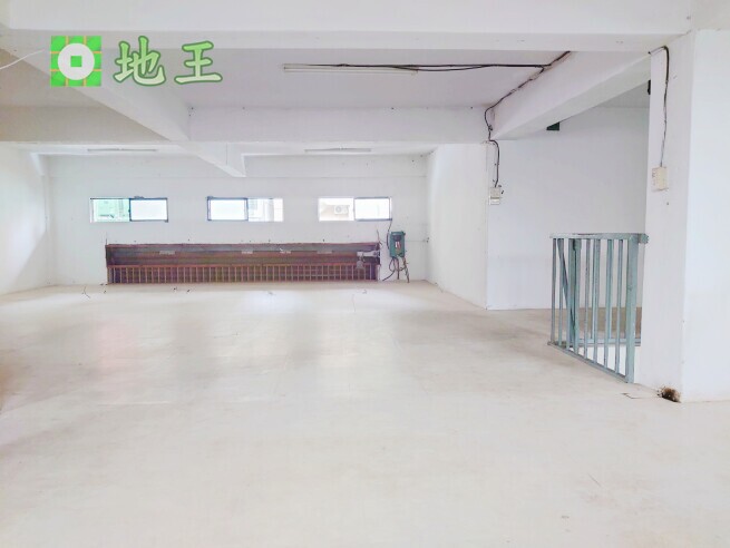 新北市 新莊區 幸福、頭前庄廠房出租｜67坪一樓＋夾層｜可公司工廠登記 物件編號 20633