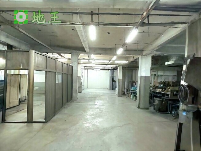 新北市 土城區 永豐路廠房出租｜600坪一樓廠房｜挑高4.5米 物件編號 20631